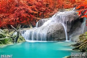 Tranh dòng suối xanh trong rừng đỏ
