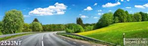 Tranh con đường giữa cánh rừng
