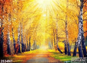 Tranh con đường bên hàng cây rụng lá