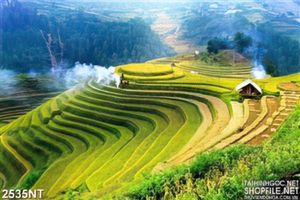 Tranh ruộng bặc thang trên đồi cao