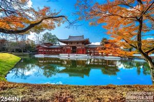 Tranh phong cảnh trước chùa 3d