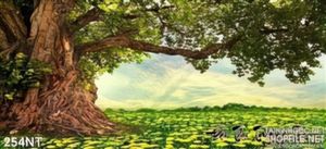 Tranh cây cổ thụ