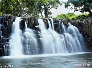 Tranh những bậc thàng nước chảy
