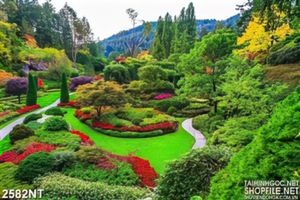 Tranh khu vườn cây và hoa bát ngát