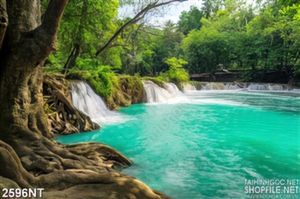 Tranh những con suối đổ về sông