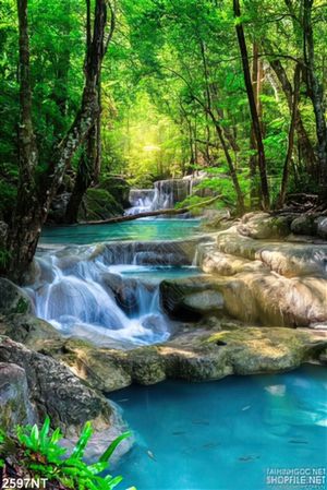 Tranh con suối trong rừng đổ về sông xanh