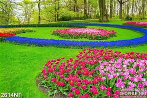 Tranh khu vườn hoa được tạo dáng