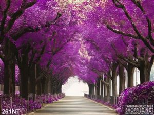 Tranh con đường hoa đào mùa xuân