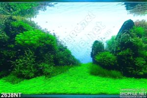 Tranh rừng xanh bên sông 3d