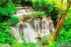 Tranh khe suối trong rừng treo tường
