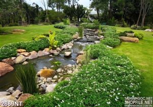 Tranh những hòn đá cuội trên suối nhỏ