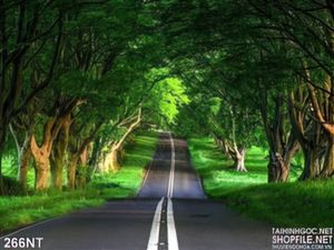 Tranh con đường tình yêu xanh