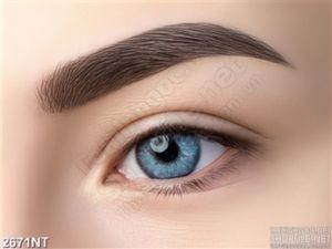 Tranh con mắt xanh và lông mày