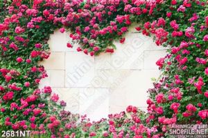 Tranh bức tường hoa hồng tạo hình trái tim
