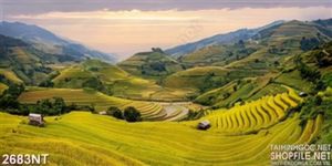 Tranh ruộng bậc thang trên những đỉnh đồi