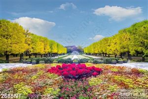 Tranh hai hàng cây trên con đường đầy hoa