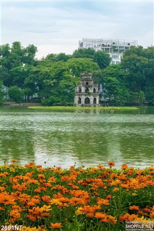 Tranh ngồi chùa giữa hồ tây