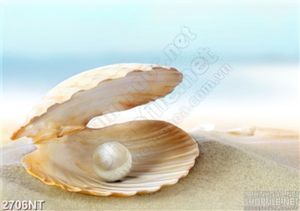 Tranh viên ngọc trai treo tường