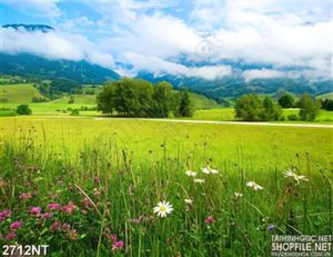 Tranh đồng hoa dại ngoài bìa rừng