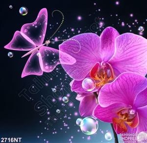 Tranh hoa lan và những bóng nước trong