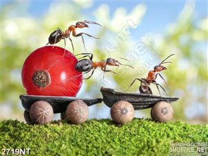 Tranh đàn kiến tha mồi treo tường