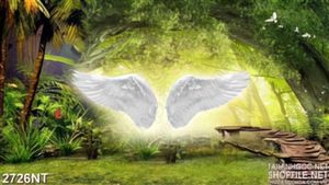 Tranh đôi cánh thiên thần phía trong rừng
