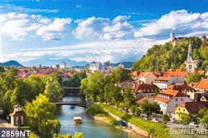 Tranh những cây cầu bắc qua thành phố