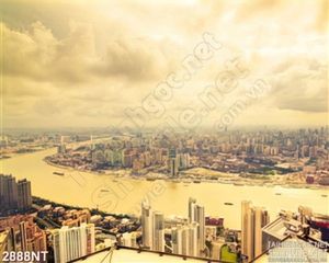 Tranh thành phố biển nhìn từ xa