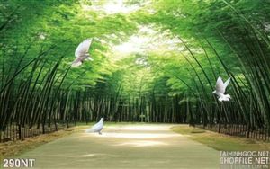 Tranh khu rừng tre và chim bồ câu