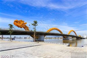 Tranh cầu Rồng trên sông Hàn