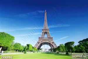 Tranh cánh đồng xanh dưới chân tháp effen