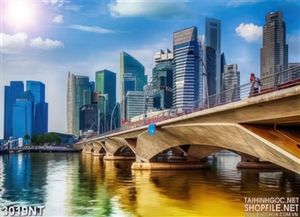 Tranh dưới chân cầu trong thành phố