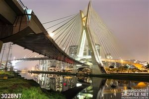Tranh cây cầu treo bắc qua thành phố