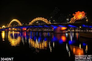 Tranh cầu Rồng rực rỡ ánh đèn