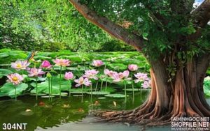 Tranh cây bồ đề và hoa Sen