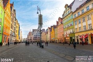 Tranh dòng người đổ xuống lòng đường