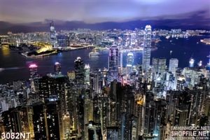 Tranh thaành phố biển lấp lánh ánh đèn điện