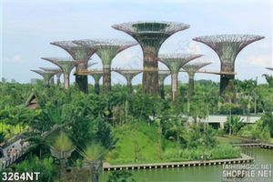 Tranh khu vườn xanh trên hồ nước