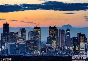 Tranh thành phố sáng đèn trong màn đêm