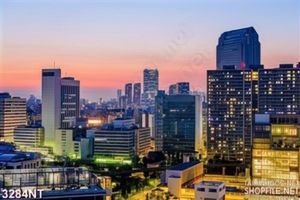 Tranh những tòa nhà rực rỡ ánh đèn