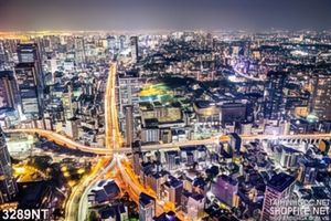 Tranh những nhánh đường sáng giữa thành phố