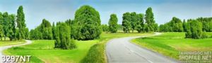Tranh con đường quanh co dẫn vào rừng