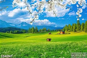 Tranh cánh đồng cỏ lác đác vài ngôi nhà