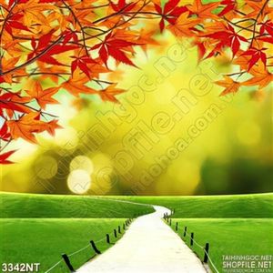 Tranh những tán lá phong đỏ trong nắng