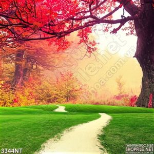 Tranh rừng cây lá đỏ trên cánh đồng cỏ non