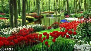 Tranh hai bên bờ sông tràn ngập hoa tulip