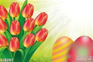 Tranh vẽ bó hoa tulip treo tường