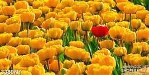 Tranh bông hoa đỏ trong vườn hoa tulip vàng