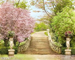 Tranh lối bậc thang giữa vườn hoa anh đào in uv