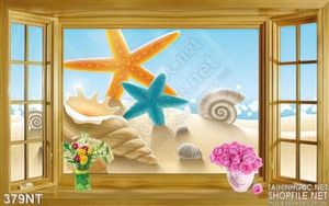 Tranh cửa sổ sao biển trên cát